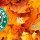 Fall Café Crawl: Starbucks vs.  Blue State