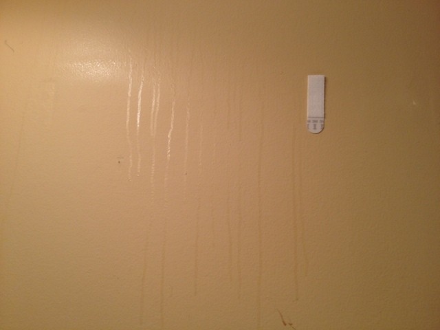 A Lesson on Following Command Adhesive Rules The Borrowed AbodeThe