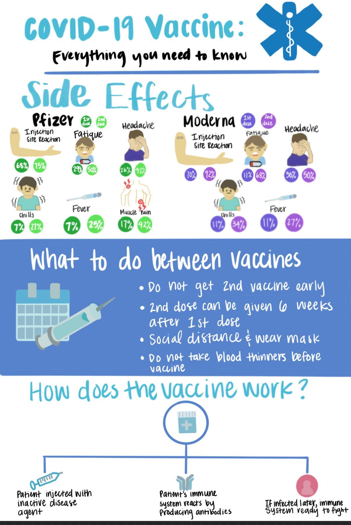 The 2Dose COVID19 Vaccines An Infographic The Bottom Line UCSB