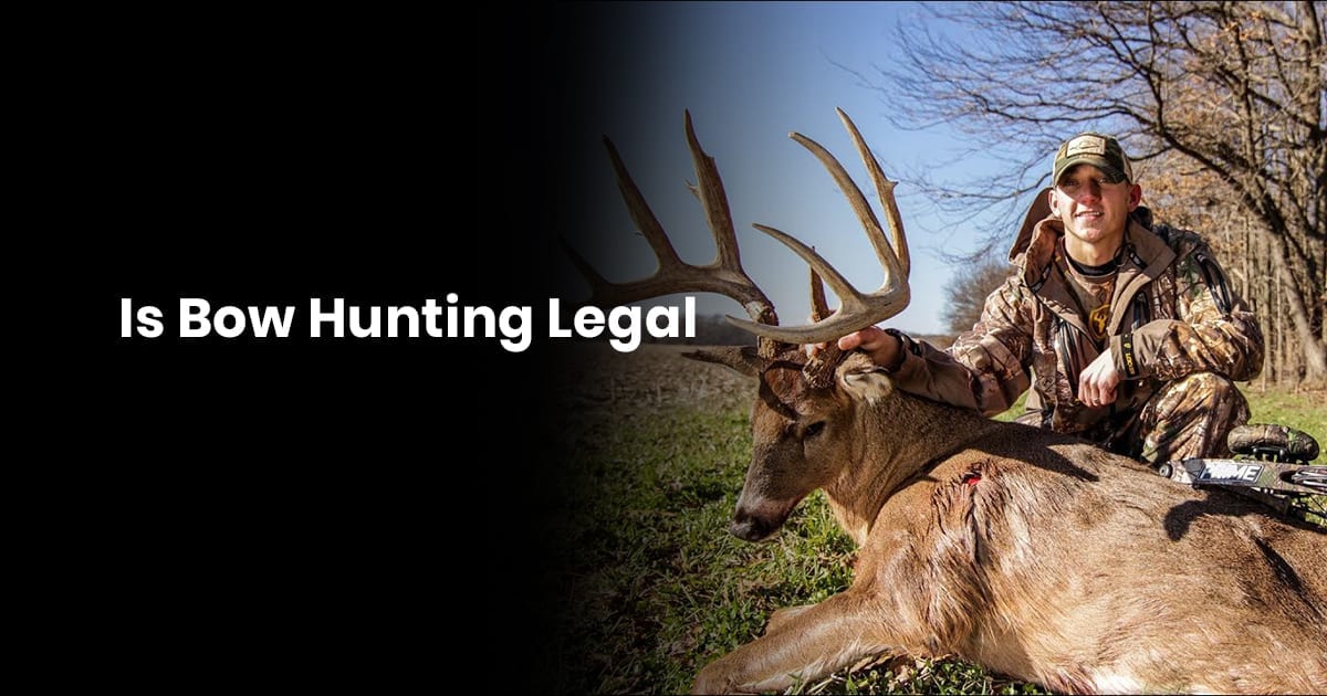 How Is Bow Hunting Legal In United States Guide