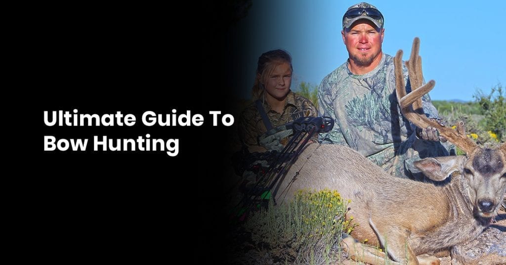 The Ultimate Guide to Bow Hunting Tips in (2024)