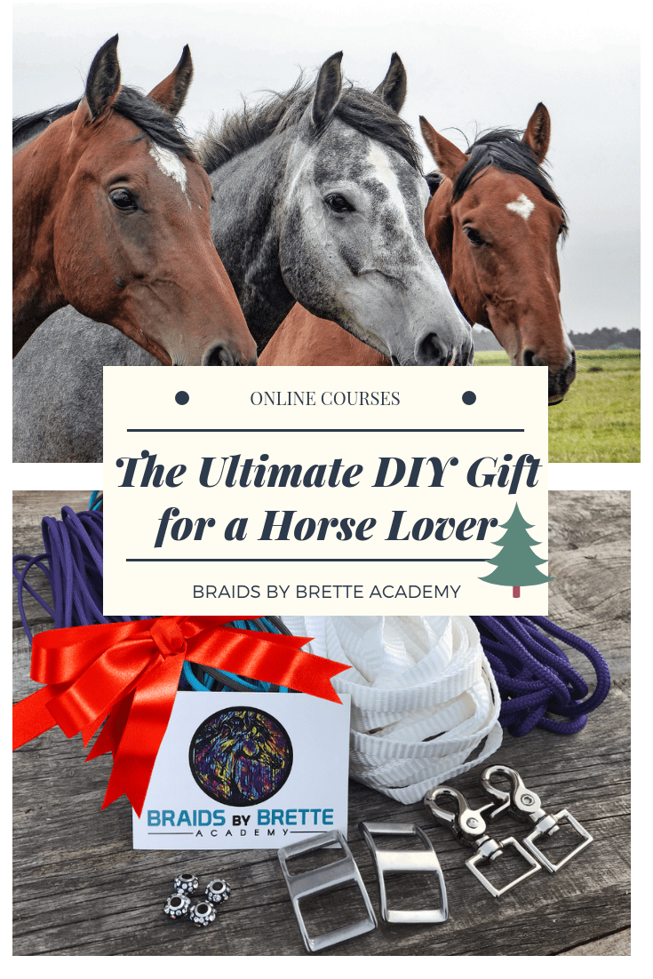 The DIY Horse Tack Gift Box Braids By Brette Academy
