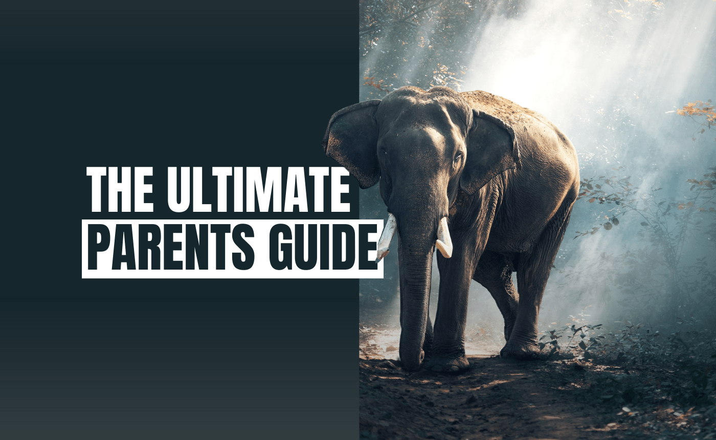 Coming soon The Ultimate Parents Guide