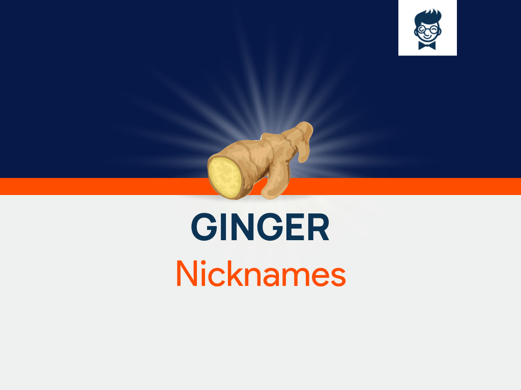 Ginger Nicknames 535+ Catchy And Cool Nicknames BrandBoy
