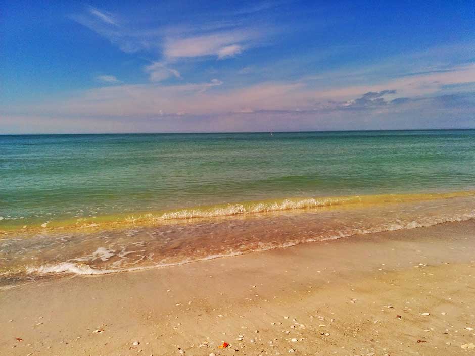 THE BRASS MONKEY The Best Gulf Views in PassAGrille