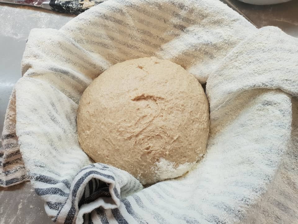 Why does my bread dough not rise or not rise enough? The Bread Guide