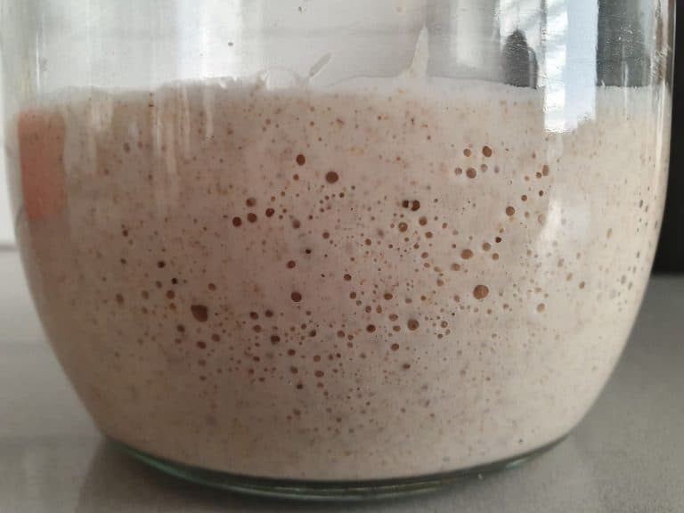 What is the Difference Between a Sourdough “Mother” (the Starter) and