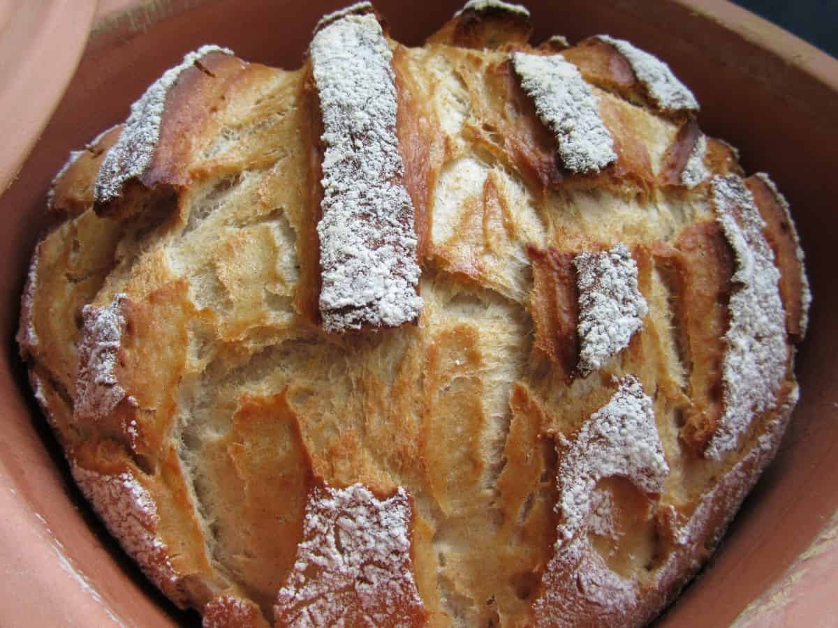 What is the Ideal Oven Temperature for Baking Bread? The Bread Guide