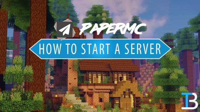 Papermc 1.21.1 download