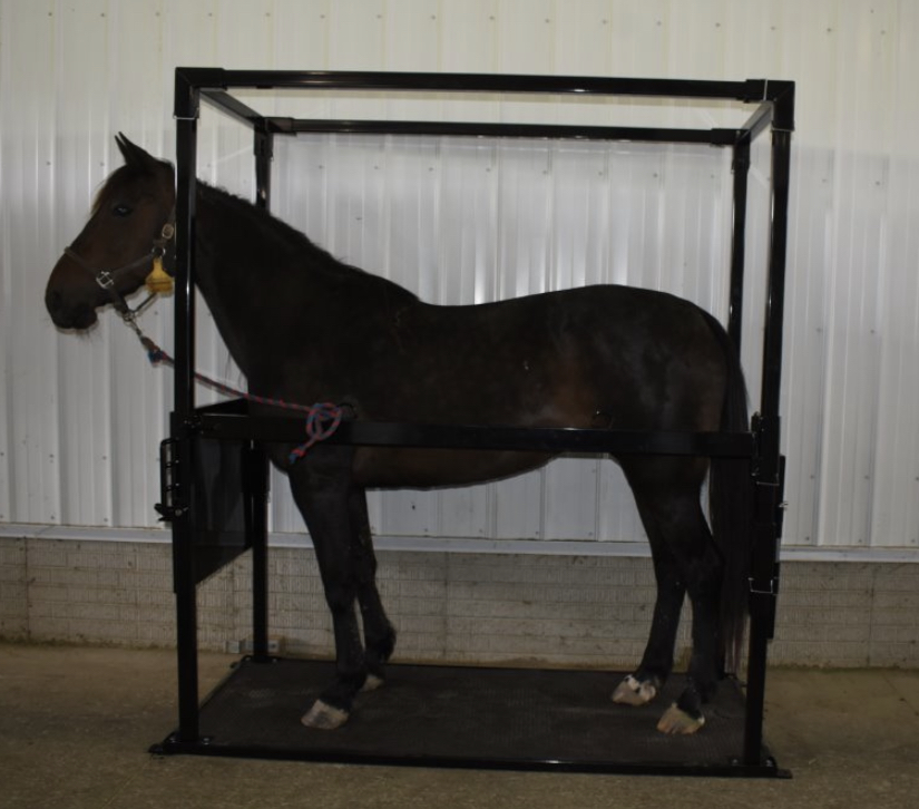 Breeding Stock (Stock Only) The Breeders Assistant