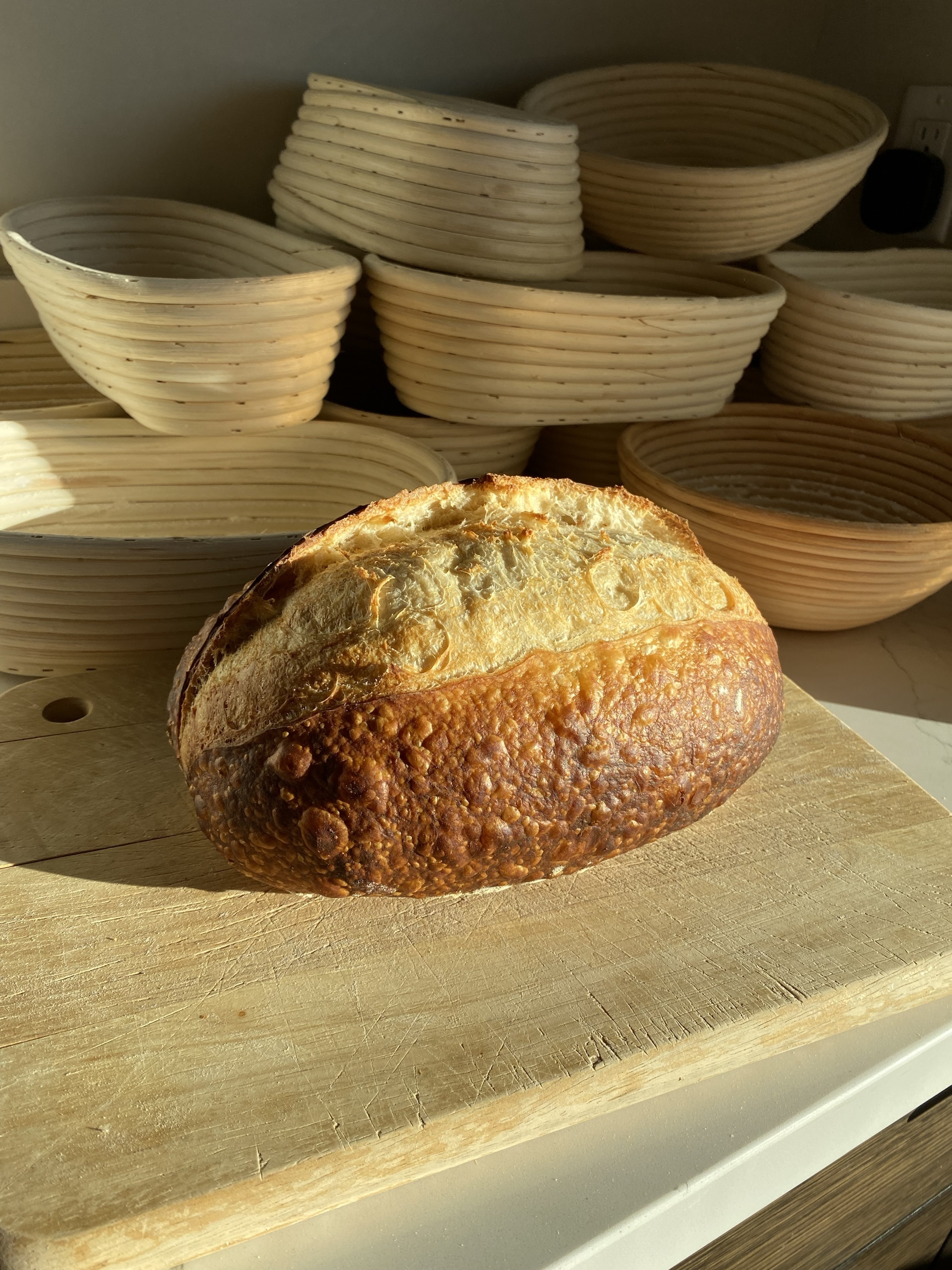 Country French Batard (oval) The Brewer's Bread