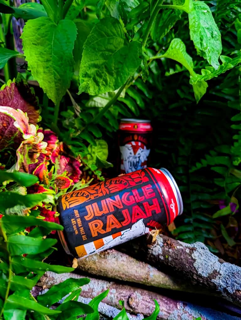 Jungle Rajah A juicy India Pale Ale The Brew Kettle