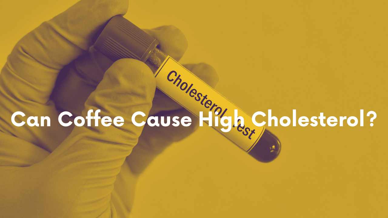 Can Coffee Cause High Cholesterol? What You Need To Know 2022