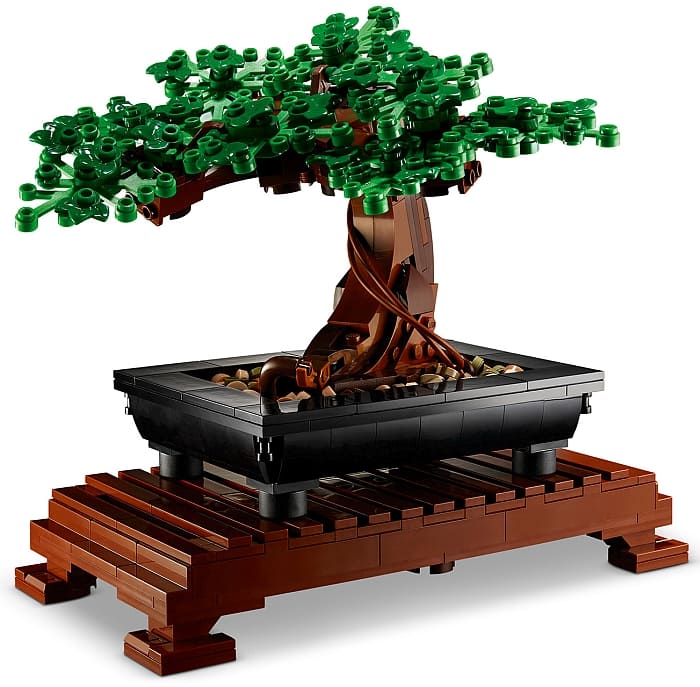 2021 LEGO Botanical Collection Coming Soon!