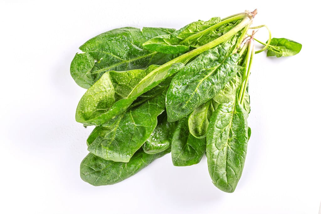 How To Tell If Spinach Is Bad?