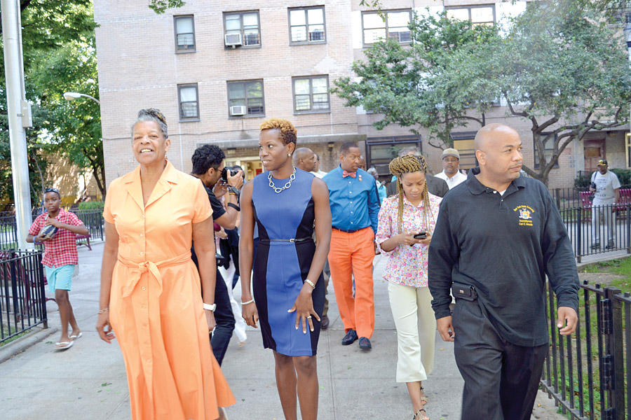 Shining the light at SecorEncendiendo la luz en Secor The Bronx Free