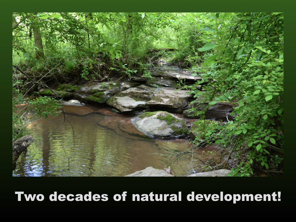 Foundation The Broughton Foundation