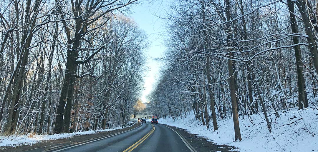 Outdoor activies to try during quarantine The Brown and White