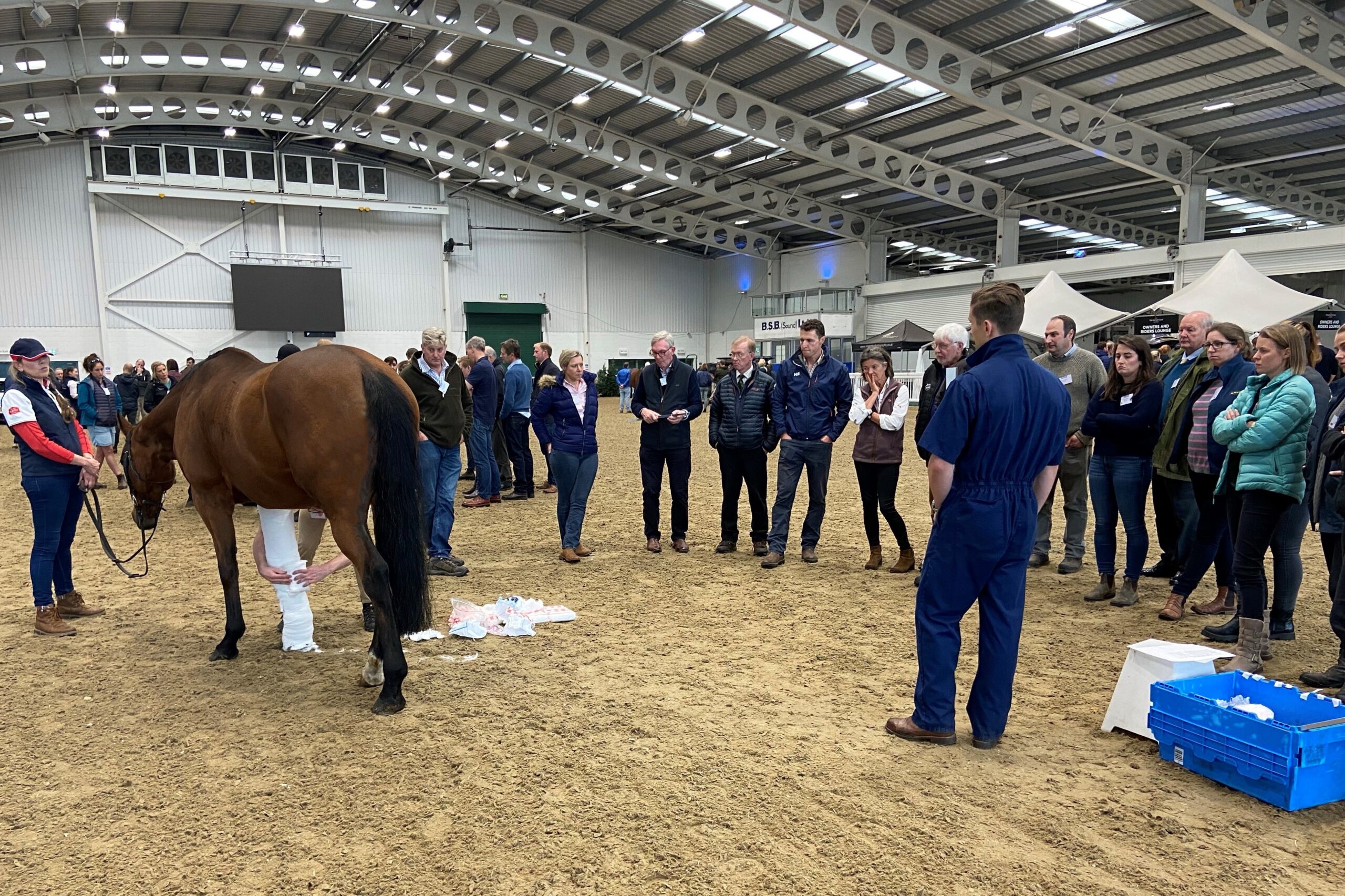 Helping the Next Generation of Racehorses at the ARVS Casualty