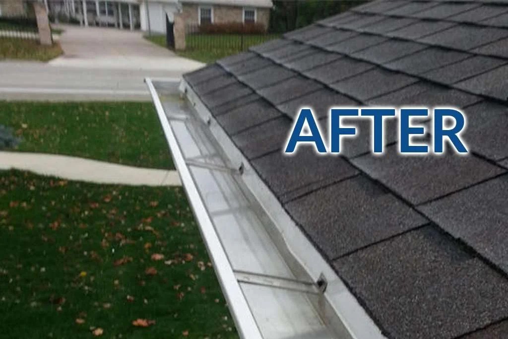 Gutter Cleaning The Bubbly Sponge