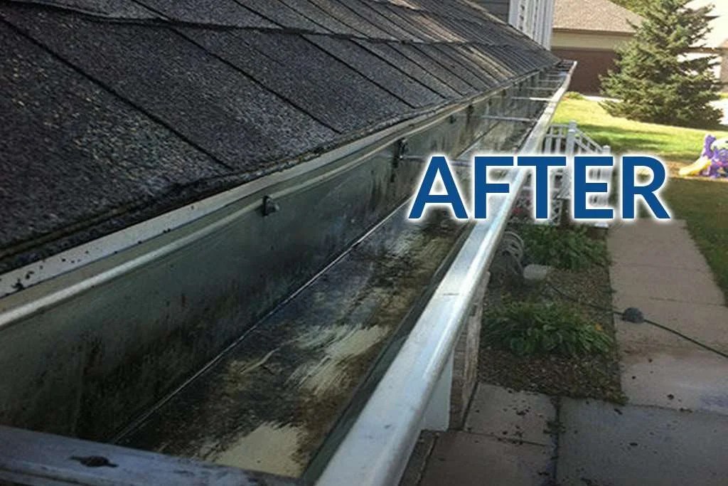 Gutter Cleaning The Bubbly Sponge