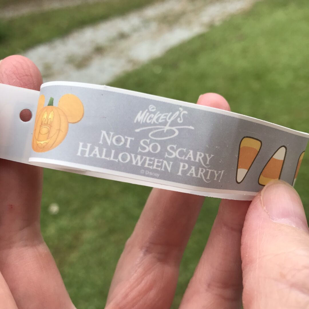 Disney World Halloween 2022 Mickey's NotSoScary Halloween Party
