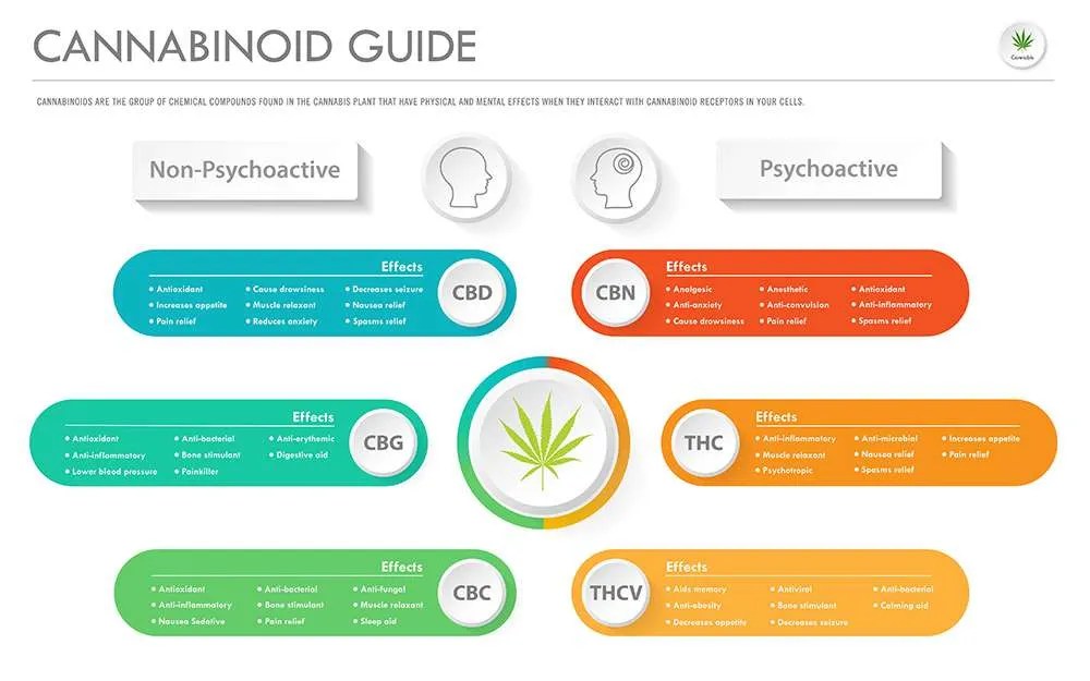 Cannabinoid Guide The Bud House Cannabis Dispensary