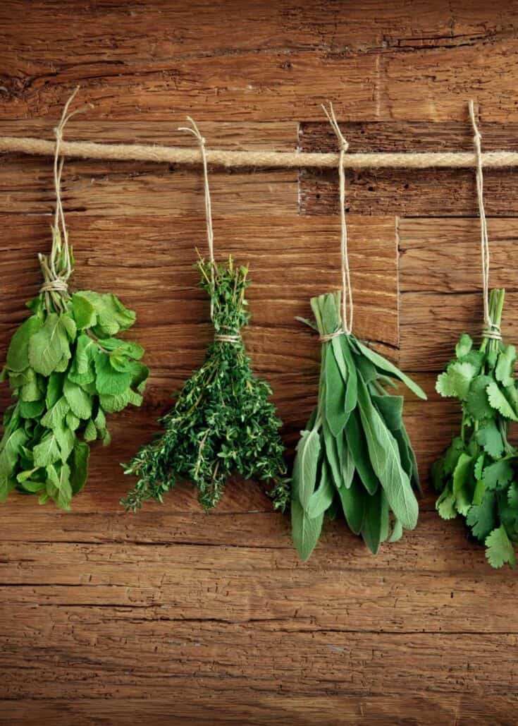 17 Smells that Flies Hate Scents to Get Rid of Flies » The Buginator