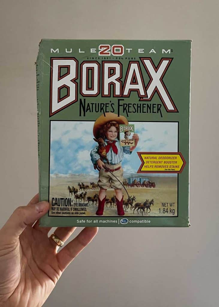 Borax for Roaches 5 Easy Recipes to Kill Cockroaches (6 Things to Know