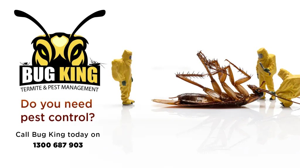 RESIDENTIAL PEST CONTROL Bug King