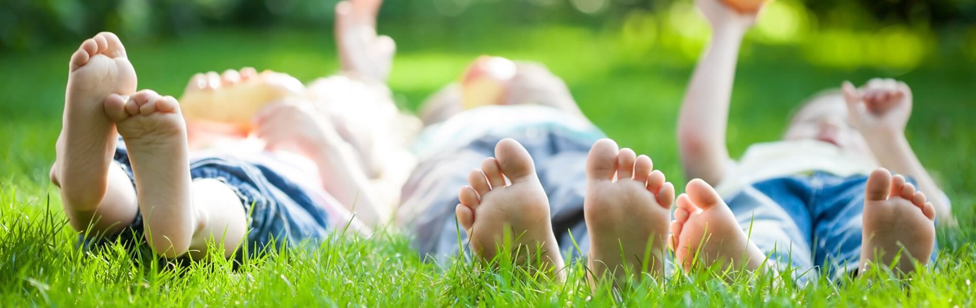 Residential Pest Control Victoria, Texas