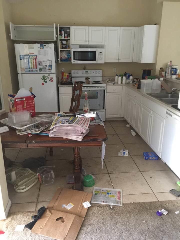 German Cockroaches Florida Bugs The Bug Man Pest Control