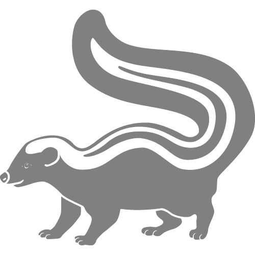 Rodent and Wildlife Control in Austin, TX The Bug Master Pest Control