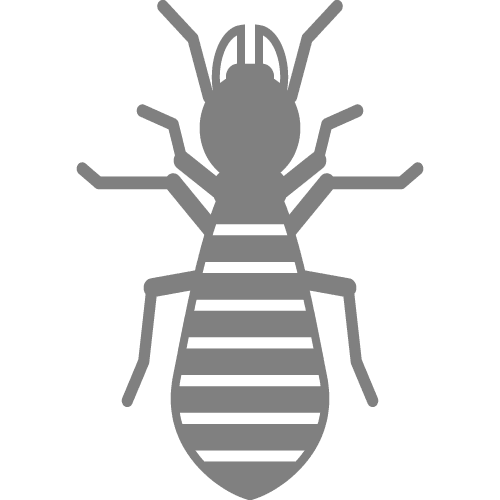 Pest Control & Exterminator Austin TX The Bug Master