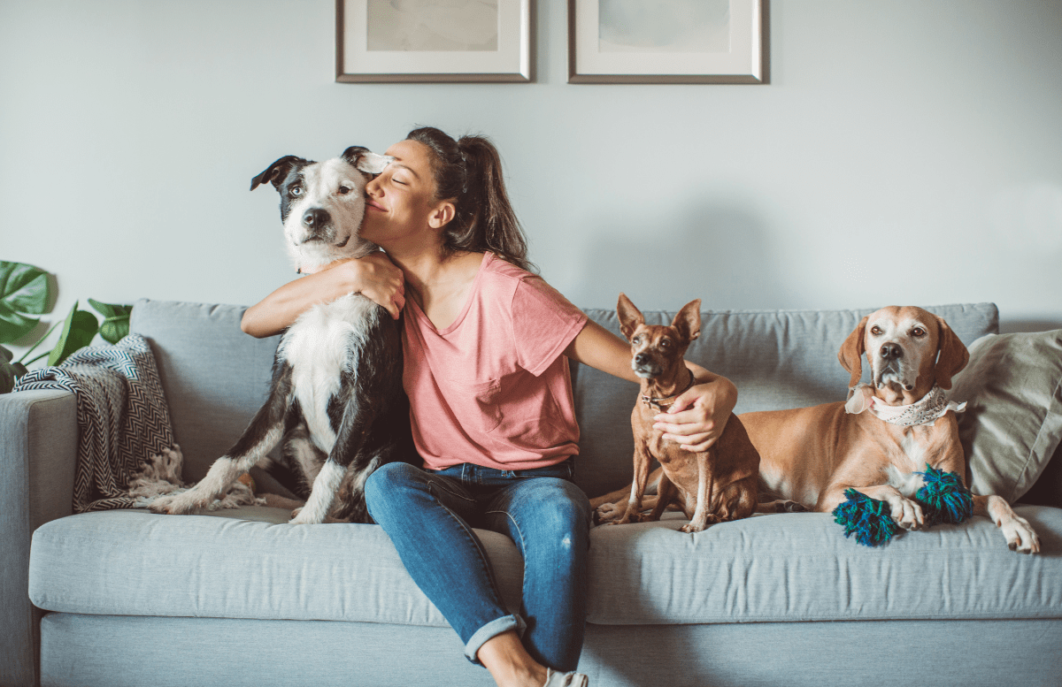 Is Pest Control Safe for Pets? The Bug's End Pest Control