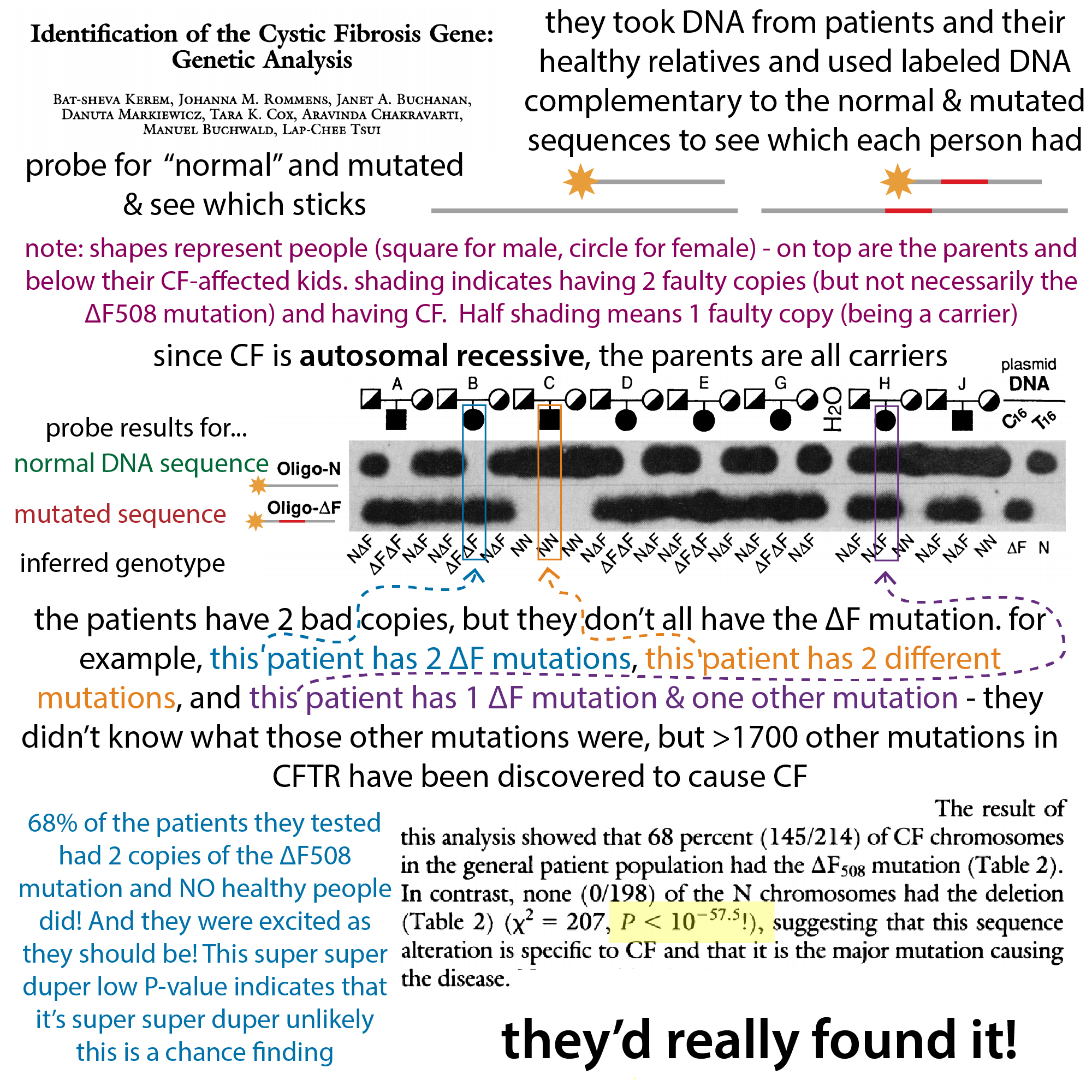 Batsheva Kerem The Bumbling Biochemist
