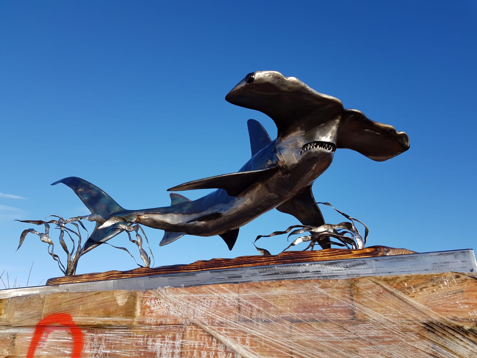 Metal Hammerhead Shark Sculpture The Bunker Art Gallery