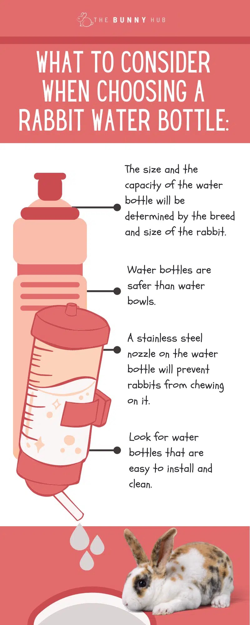 Best Rabbit Water Bottle The Top 7 of 2022 The Bunny Hub