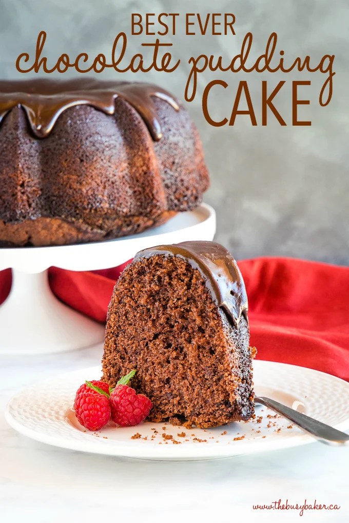 Chocolate Pudding Cake (Easy Dessert!) The Busy Baker
