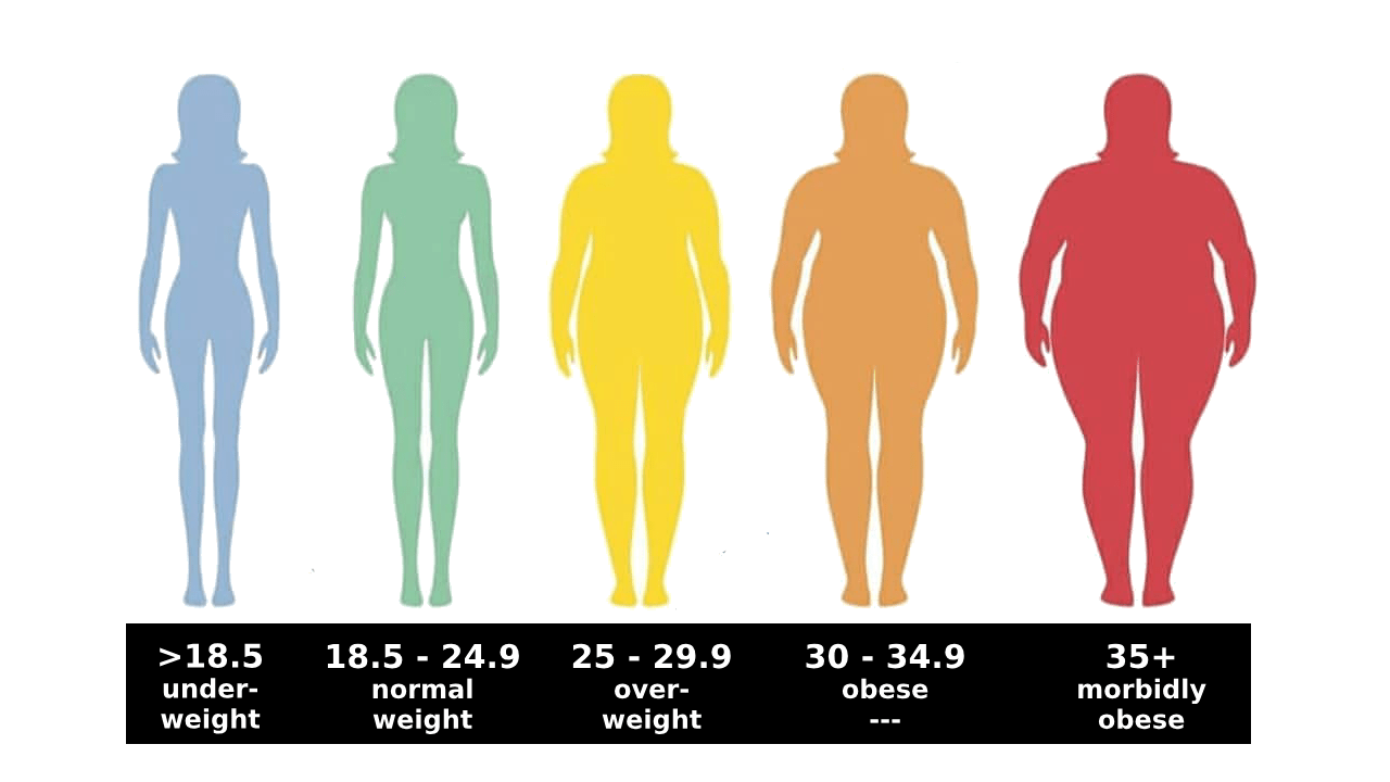 How To Calculate Your Bmi (And Use It To Understand Your Weight) - The Busy Lady