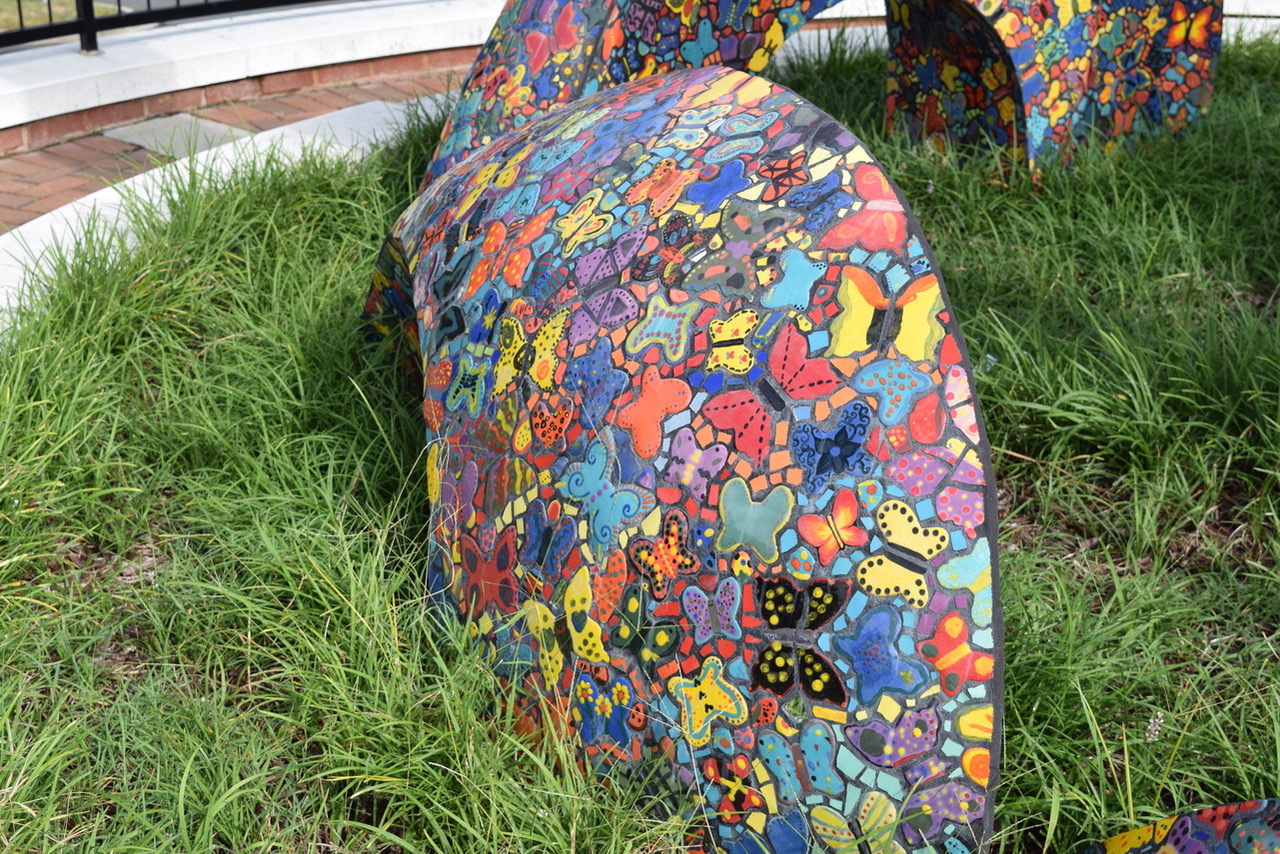 Installations The Butterfly Project