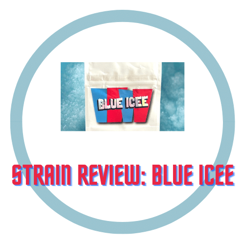 Strain Review Blue Icee The Buzz Guide