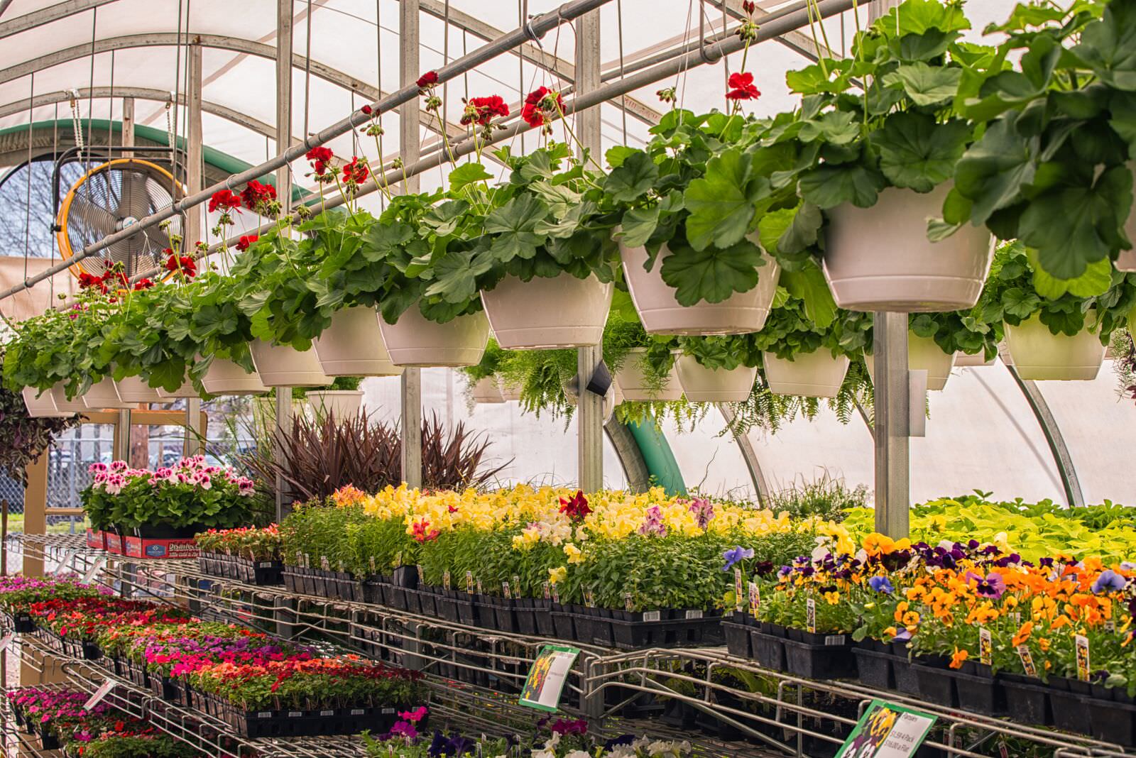 Four Generations of the Mayfield Family Have Shaped Max B. Mullins