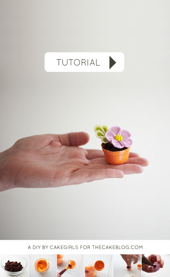 How To Make A Flower Pot Cake Tutorial Best Flower Site