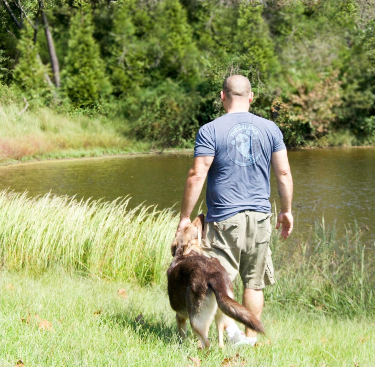 Photos Orlando Fl Dog Training with The Calm K9 Florida Dog Trainer