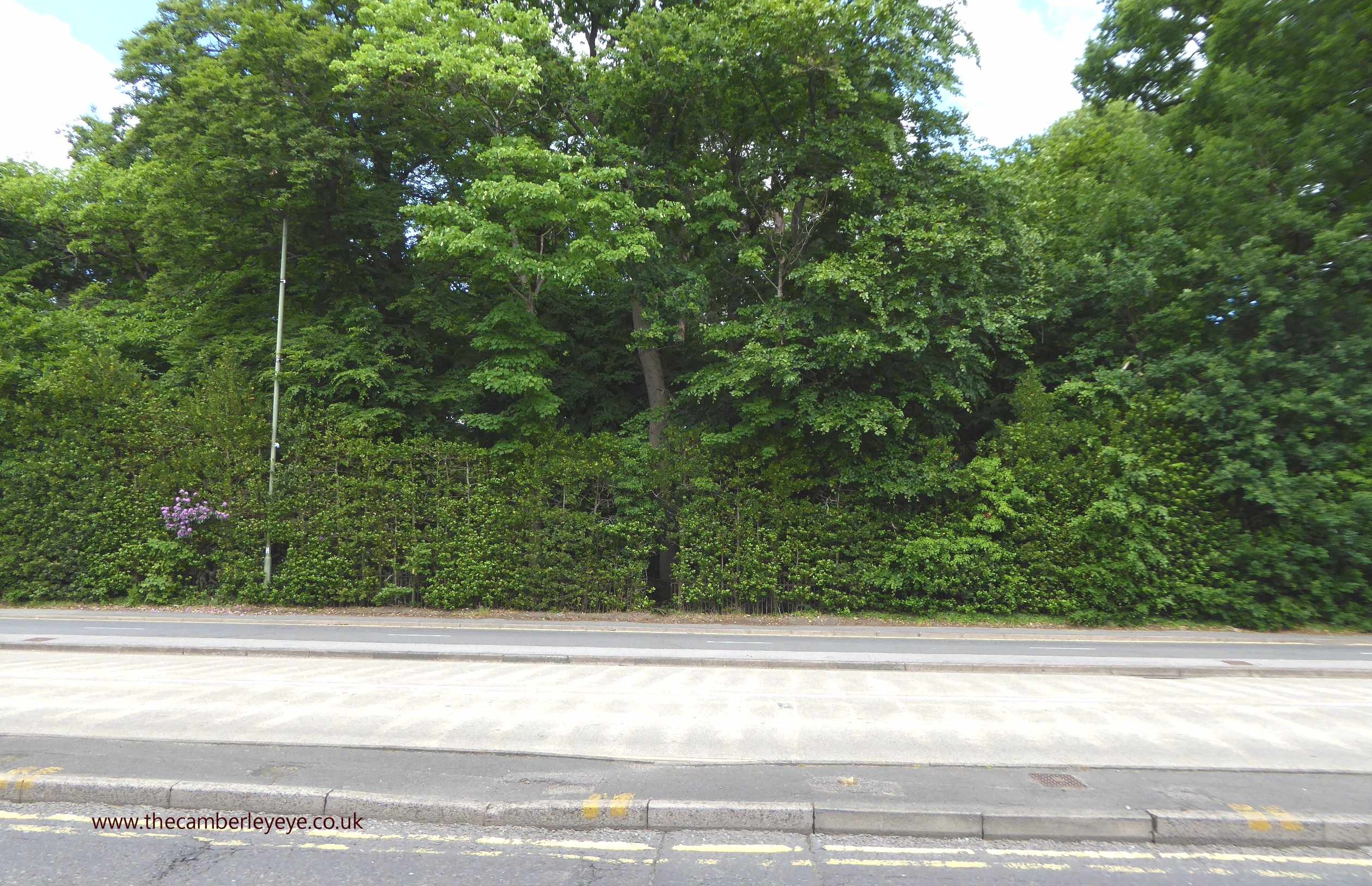 Fast track entry to Sandhurst The Camberley Eye