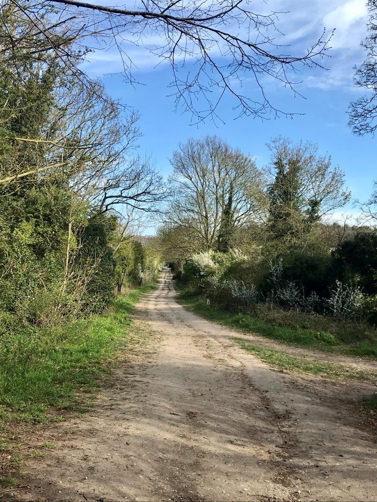 Gog Magog Hills Wandlebury and Magog Down The Cambridge Placebook