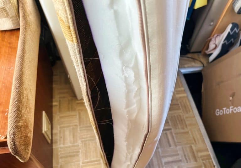 Replace RV Cushions With This Foam Available Online