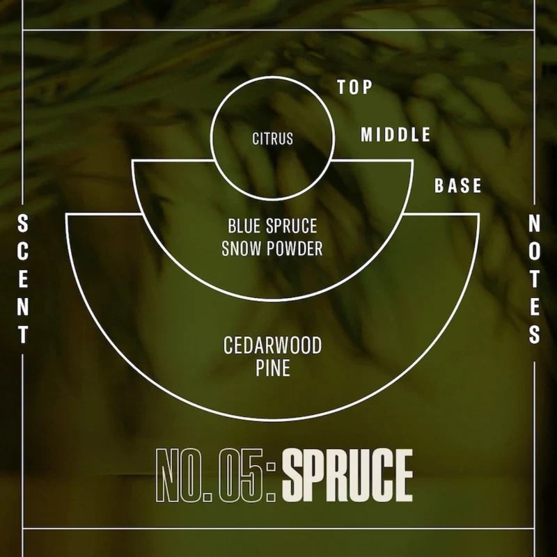 PF Candle Co Spruce The Candle Library