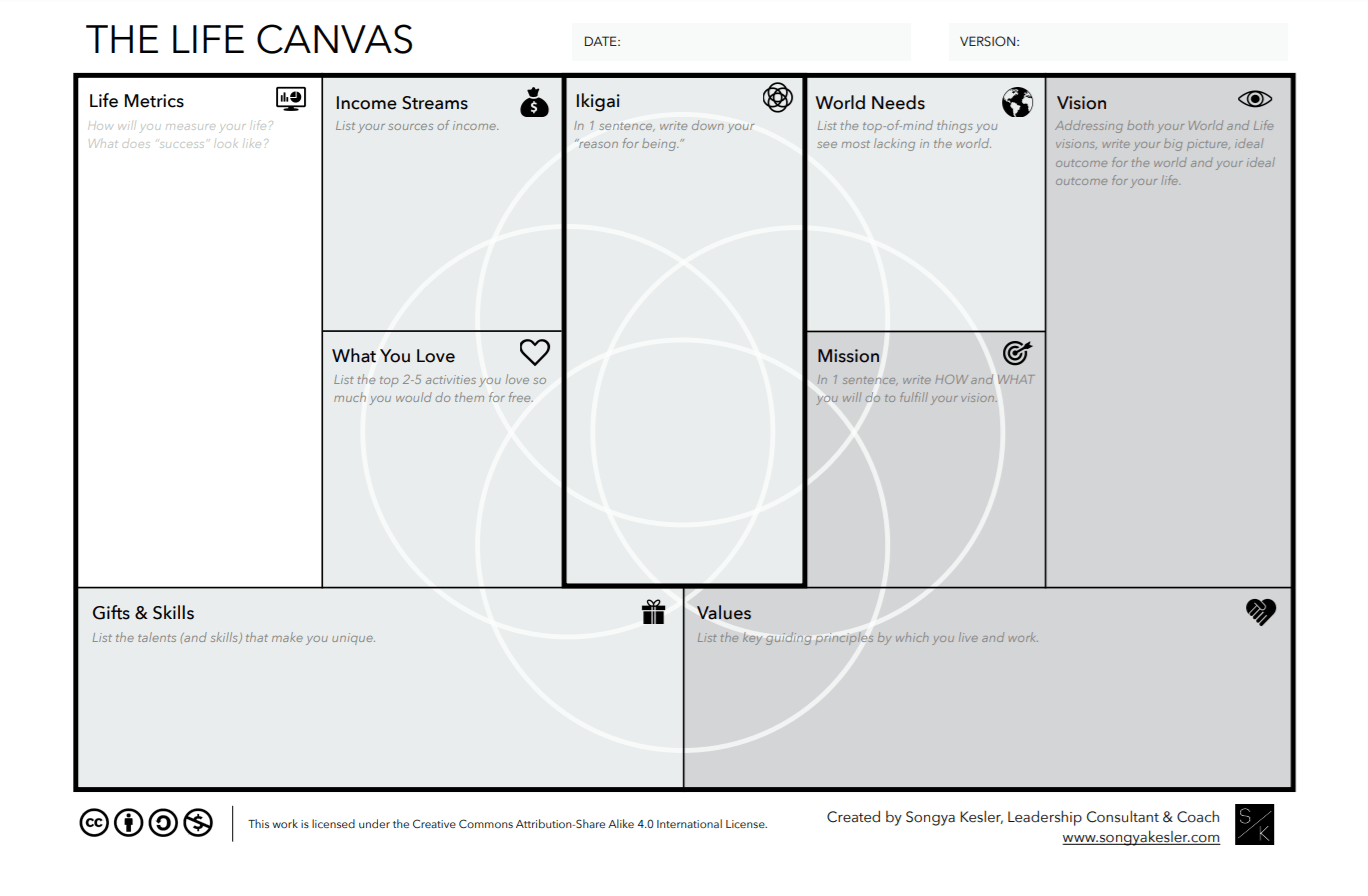 The Life Canvas The Canvas Revolution